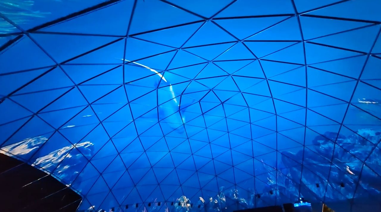 Underwater blue projection