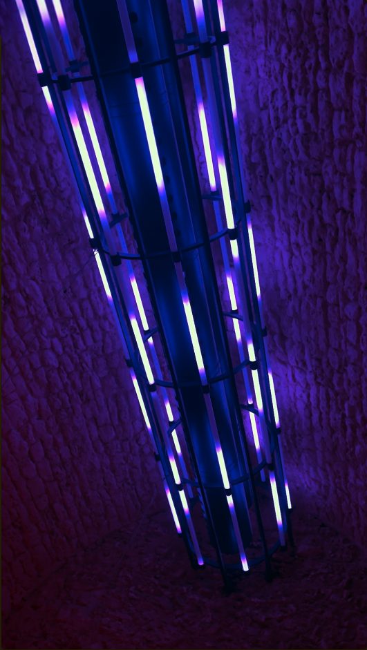 The ceiling cage lit electric blue