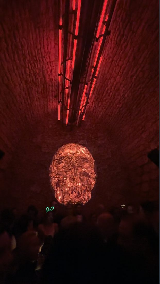 Cage overhead with projection below