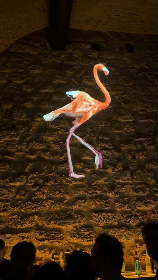 Flamingo projection on the floor