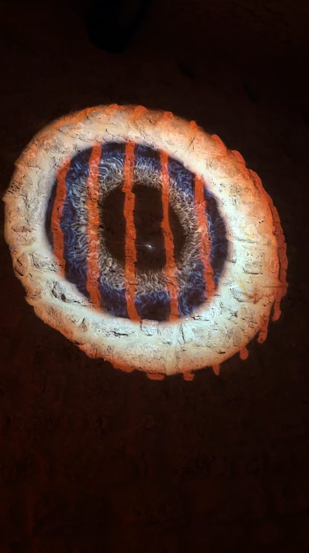 Striped iris projection