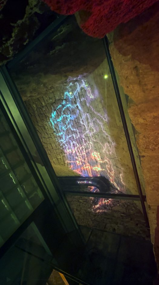 Neon jellyfish projection in glass