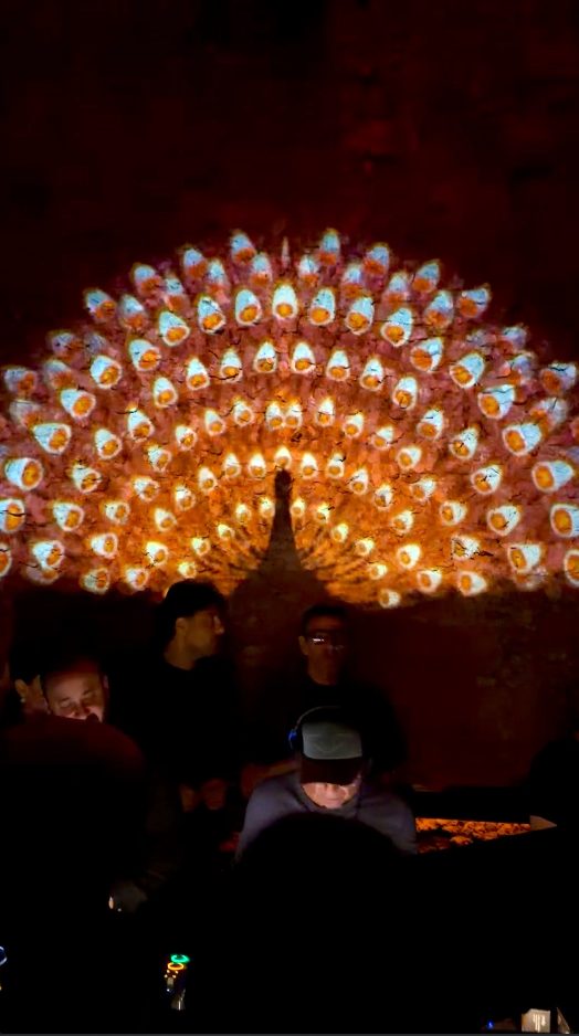 Peacock projection mapped on stone