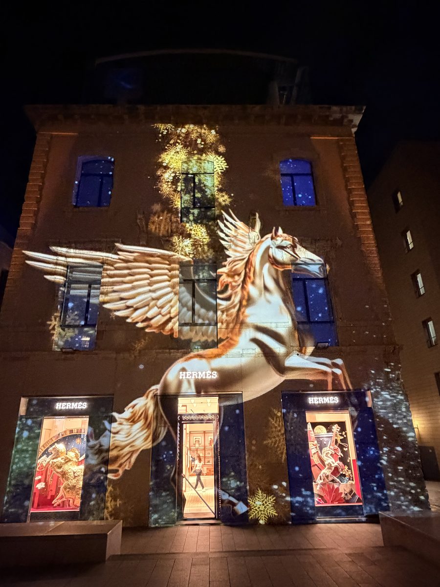 Pegasus projection detail