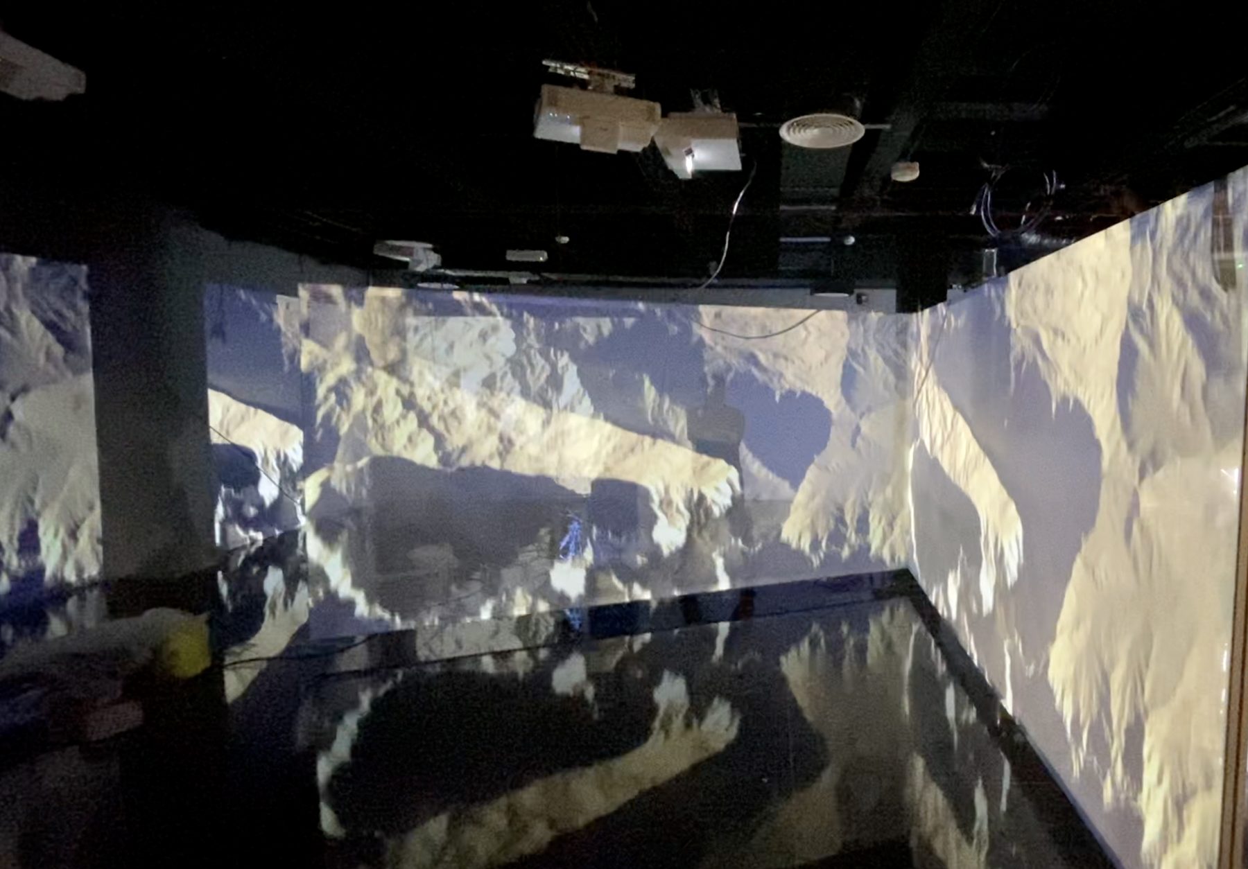 Cedar forest landscape projection in the content room