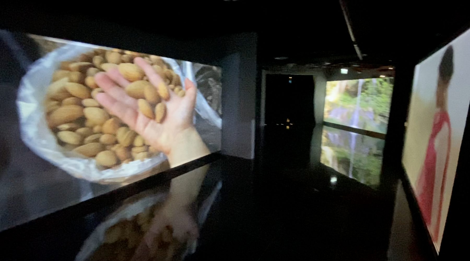 Mouneh tradition — hands sorting almonds