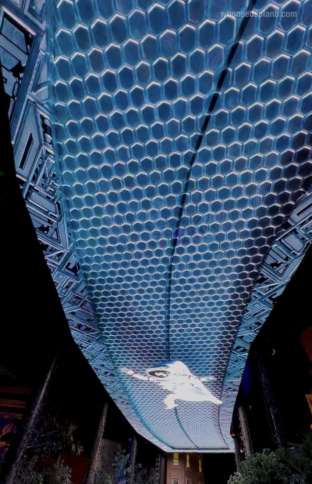 Sky screen canopy overhead
